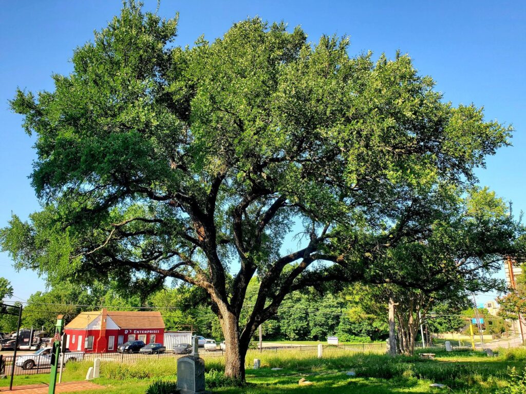 Western Heights Cemetery