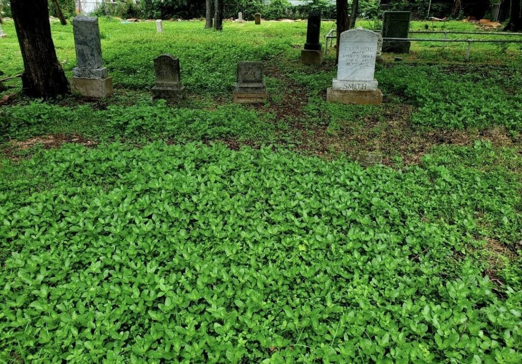 Western Heights Cemetery