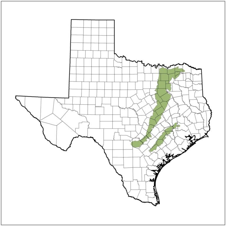 Native Plant Society of Texas Dallas Chapter